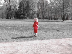 In search of the elusive butterflies. \ V iskanju zvitih metuljčkov.   